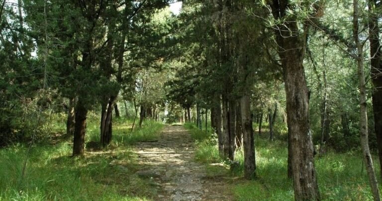 Αγρίνιο | Κλειστοί δρόμοι και δασύλλια