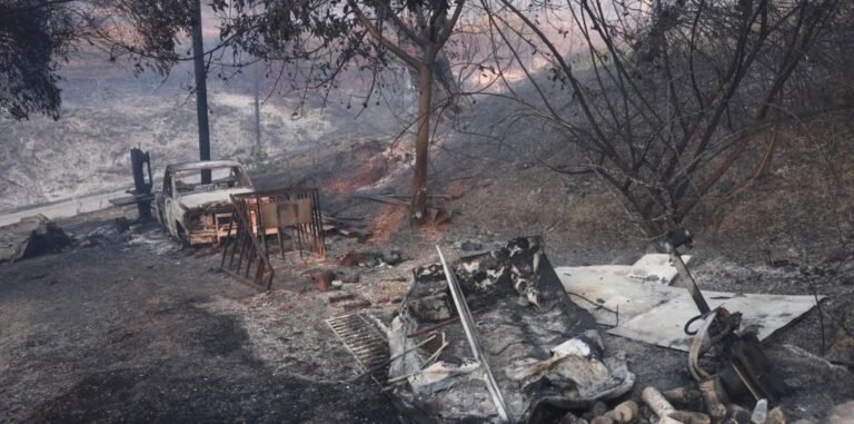 Συναγερμός πυρκαγιάς και αύριο (15/8) | Ανοιχτά ερωτήματα