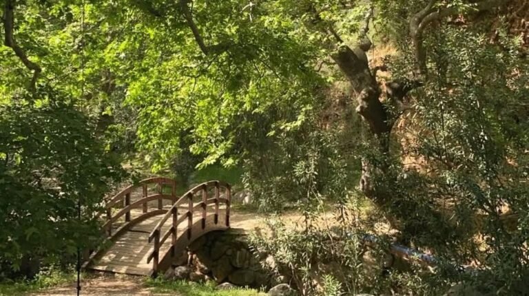 Νερομάνα Κρήνης | 2/8 | Παραμύθια και δράσεις στη Νερομάνα