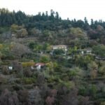 Νεροχώρι Θέρμου | 26/8 | Δωρεάν προληπτικός έλεγχος υγείας
