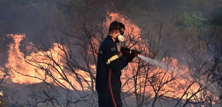 Πολύ υψηλός κίνδυνος πυρκαγιάς αύριο Τρίτη (11/8)