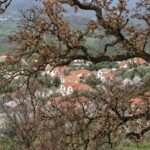 Αγράμπελο | 18/9 | Προληπτικές εξετάσεις