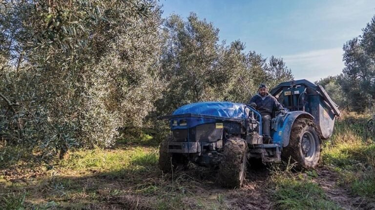 Παράταση για αγροτικά Σχέδια Βελτίωσης
