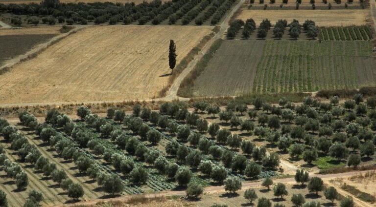 Αγροτική παραγωγή υπό διπλή πίεση