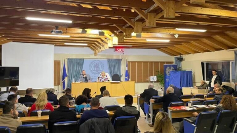 Όλγα Δασκαλή | Τρία ερωτήματα στο Δημοτικό Συμβούλιο