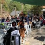Κόνισκα | Το Κυριακάτικο αντάμωμα του τσίπουρου