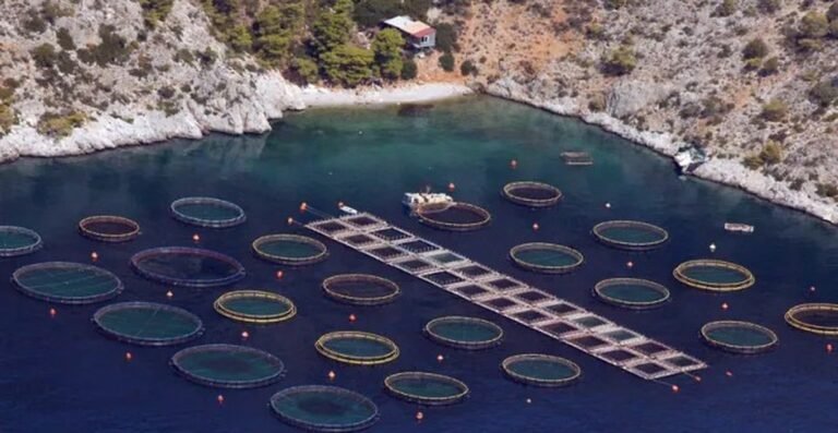 Η θάλασσα δεν είναι υπόθεση ενός κλάδου