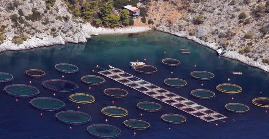 Η θάλασσα δεν είναι υπόθεση ενός κλάδου